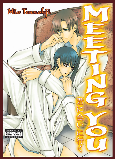 Meeting You (Yaoi GN)