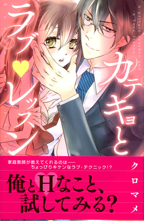 Katekyo to Love Lesson (Josei Manga)