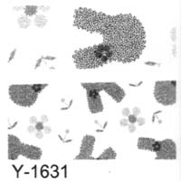Youth Y-1631