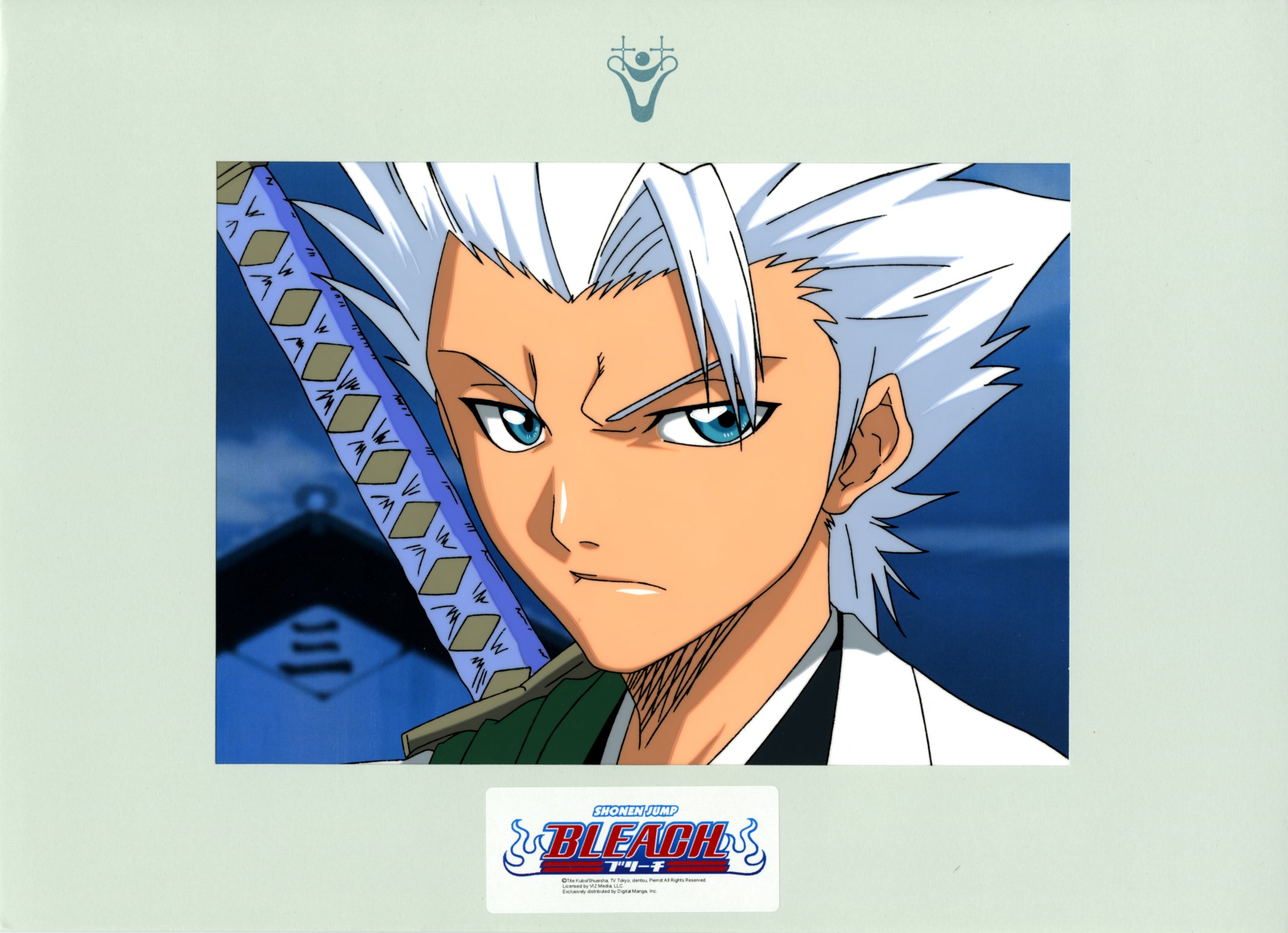 Bleach Cel: Toshiro Hitsugaya (A)