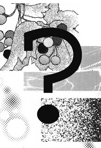 Mystery Bundle: Screentones (Deleter)