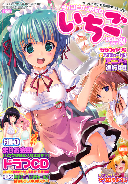 Champion RED Ichigo Vol. 34 2012