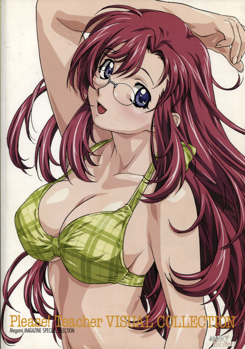 Please! Teacher VISUAL COLLECTION - Megami Magazine Special Selection 