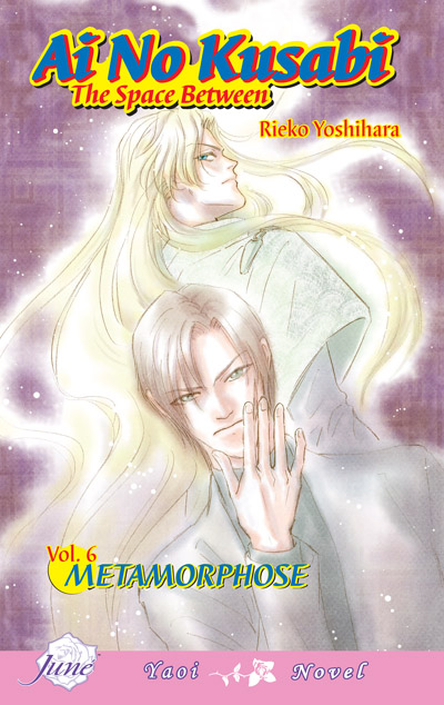 Ai no Kusabi Vol. 6: Metamorphose (Yaoi Novel) [US]