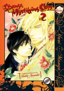 Strange and Mystifying Story, A Vol. 02 (Yaoi GN)