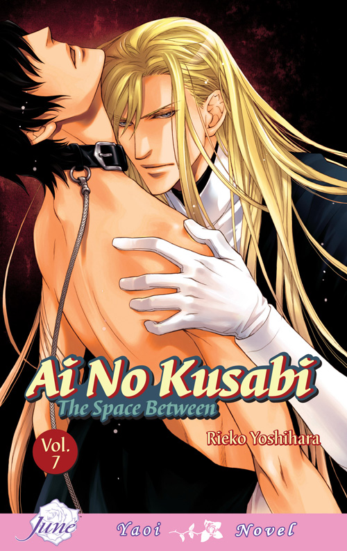 Ai no Kusabi Vol. 7: The Space Between (Yaoi Novel) [US]