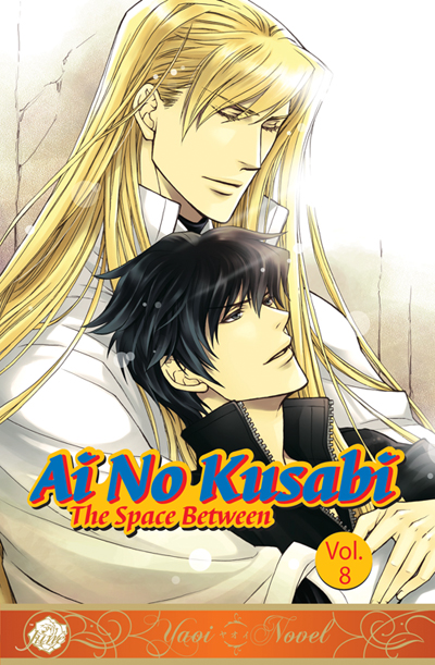 Ai no Kusabi Vol. 8 (Yaoi Novel) [US]