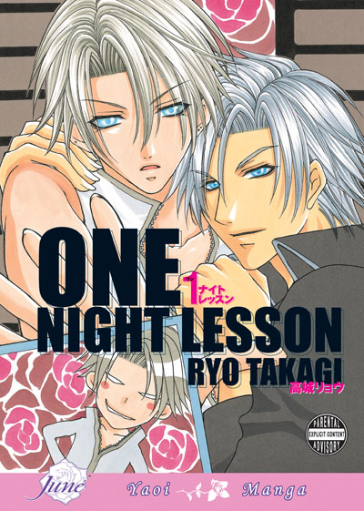 One Night Lesson (Yaoi GN)