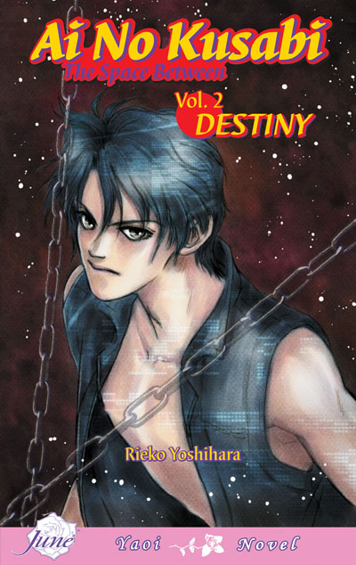 Ai no Kusabi Vol.2: Destiny (Yaoi Novel) [US]