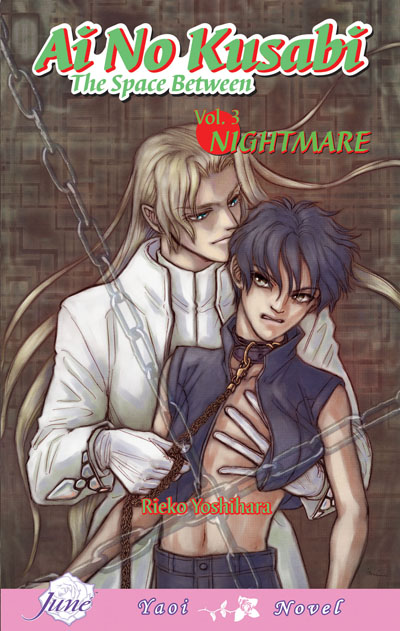 Ai no Kusabi Vol.3: Nightmare (Yaoi Novel) [US]