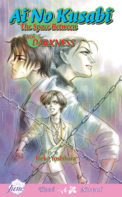 Ai no Kusabi Vol. 5: Darkness (Yaoi Novel) [US]