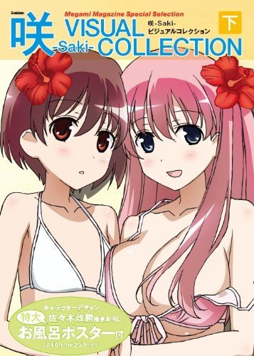 Saki - Visual Collection Ge