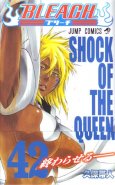 BLEACH Vol. 42 (Manga)
