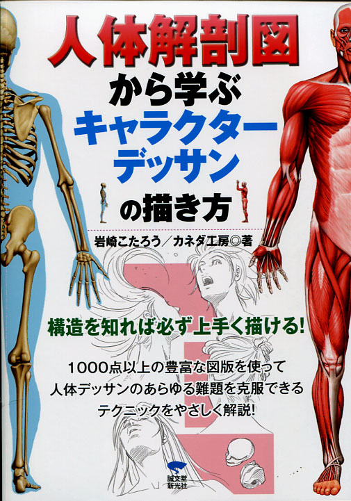 How to Draw Character Dessin: Human Anatomy  