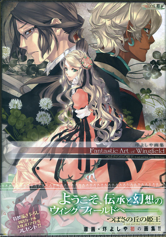 Tsubasa no Oka no Hime: Akutsu Yoshiya Illustration