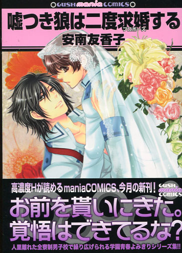 Usotsuki ha Nido Kyukon Suru (Yaoi Manga)