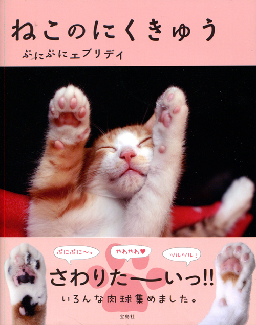Neko no Nikukyuu -Cat Photobook 