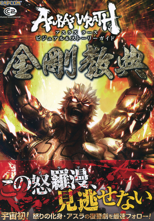 Asura's Wrath Visual and Story Guide