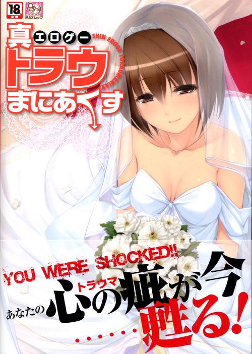 Shin Eroge Toraumaniax (Hentai Artbook)