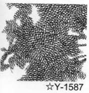 Youth Y-1587