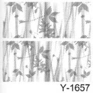 Youth Y-1657