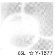 Youth Y-1677