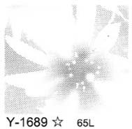 Youth Y-1689