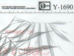 Youth Y-1690