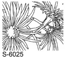 Illust S-6025