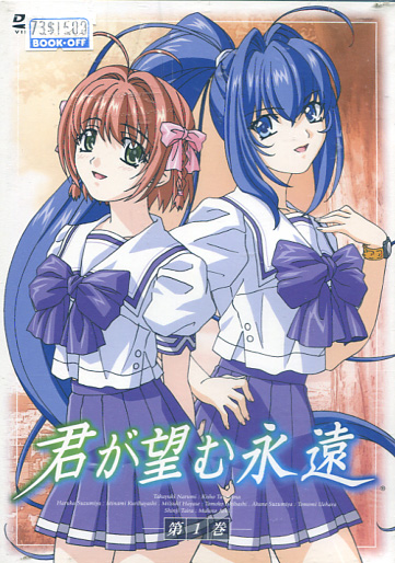 Kimi ga Nozomu Eien (DVD)