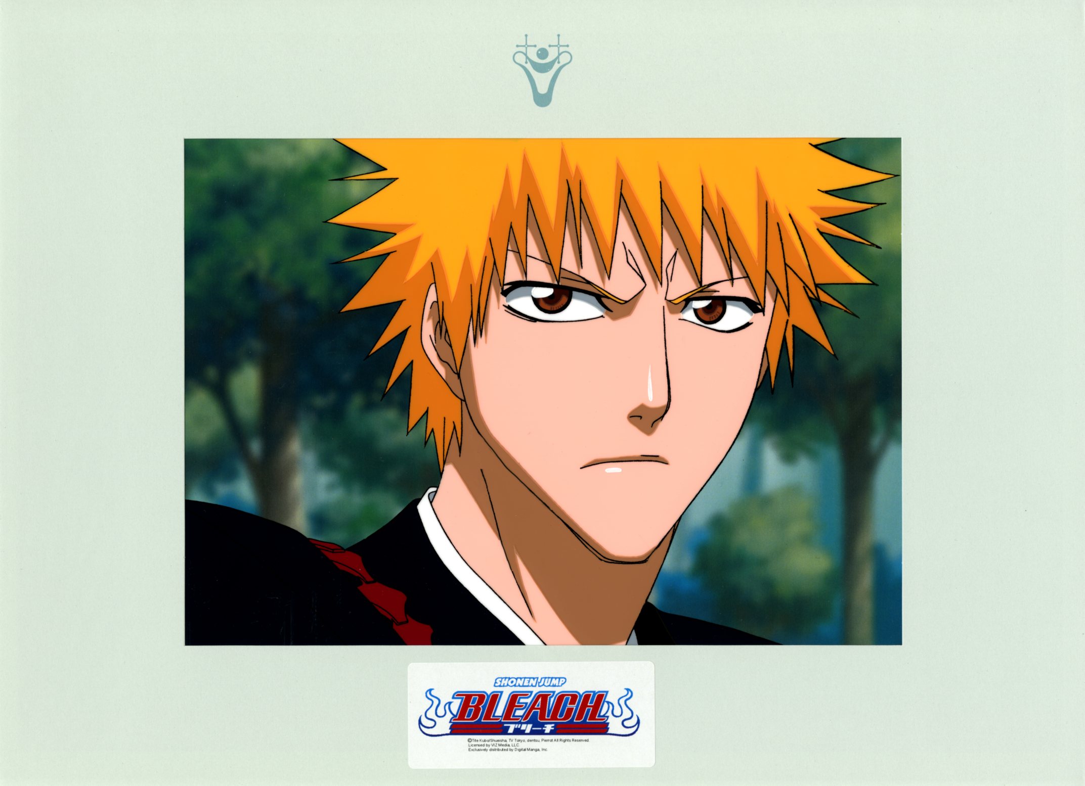 Bleach Cel: Ichigo Kurosaki (A)