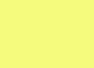 Y02 Canary Yellow