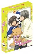 Junjo Romantica: Pure Romance Season 1 Complete Collection (DVD Box Set)
