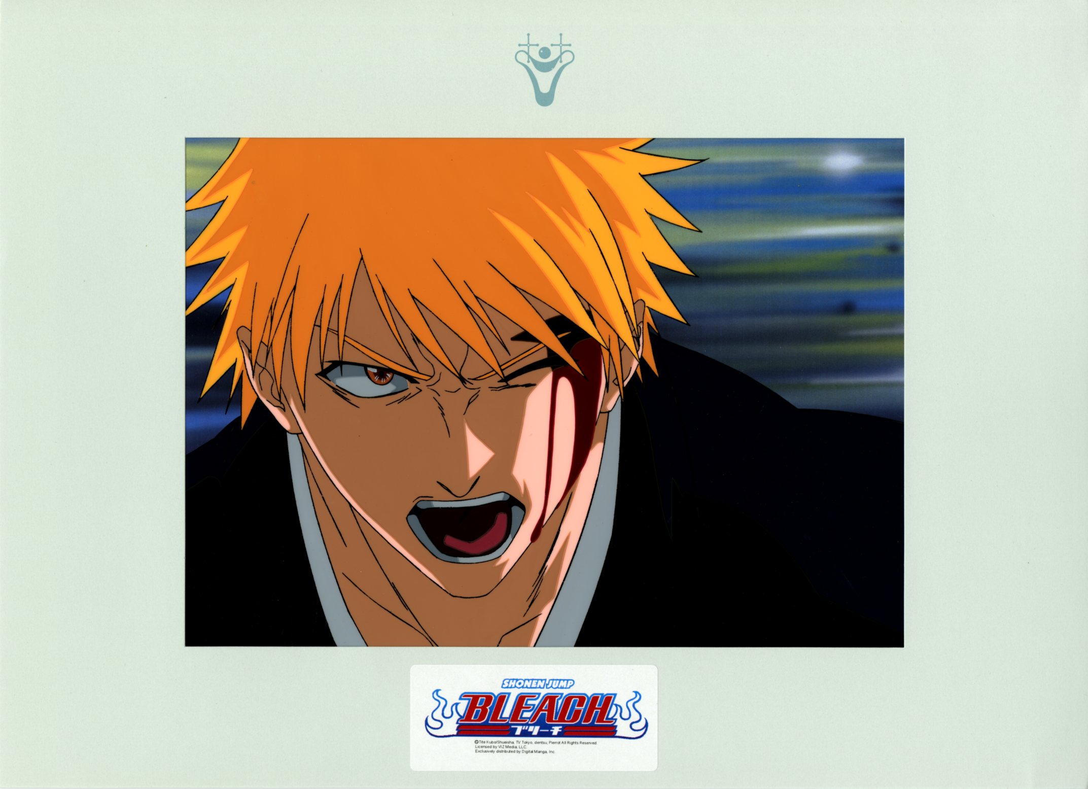 Bleach Cel: Ichigo Kurosaki (B) Bleach Cel: Ichigo Kurosaki (B)
